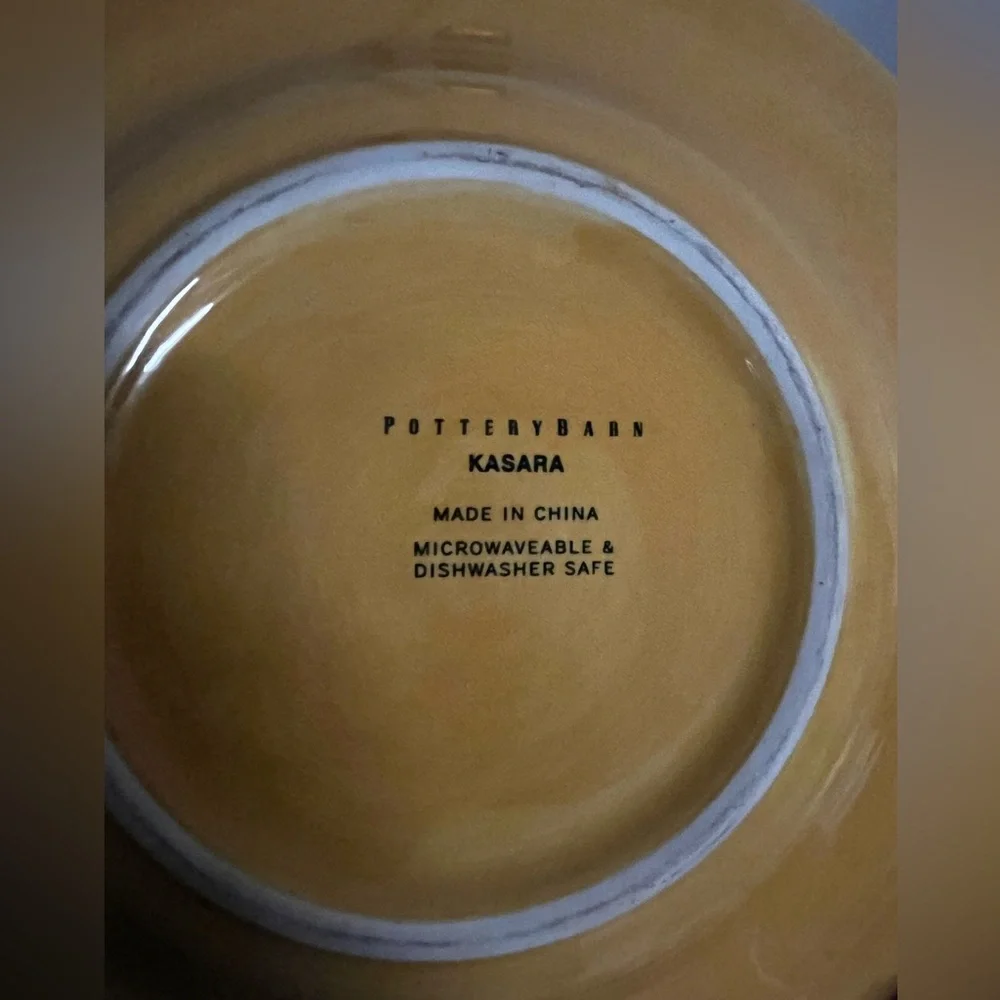 Retire rare Kasara by Pottery Barn